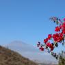 IMG_0600m