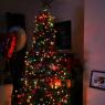 IMG_8985pm