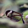 IMG_5592Pmm