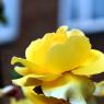 IMG_4348pm