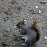 IMG_5158rm