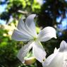 IMG_8767rm